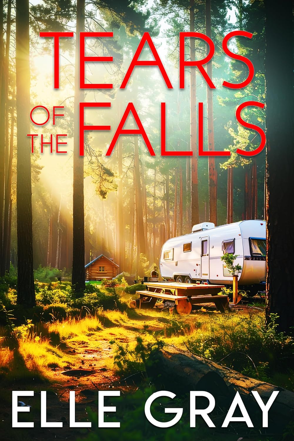 Tears of the Falls (A Sweetwater Falls Mystery Book 17)