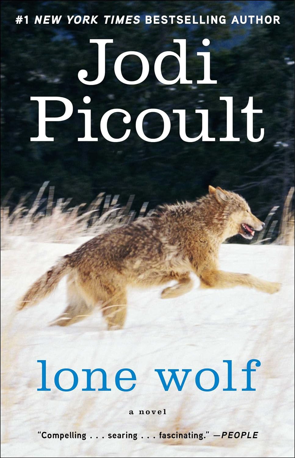 Lone Wolf: A Novel