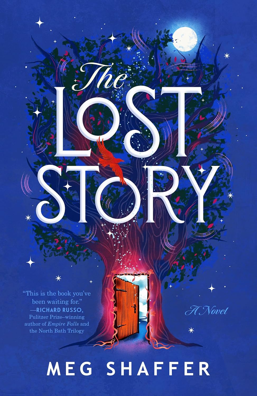 The Lost Story: A Novel
