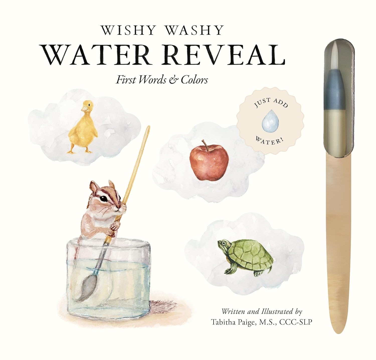 Wishy Washy (Water Reveal Edition): A Reusable Water Reveal Activity Book Teaching First Words and Colors (Tabitha Paige Children’s Book Series)
